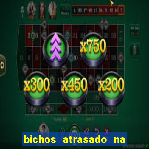 bichos atrasado na loteria dos sonhos